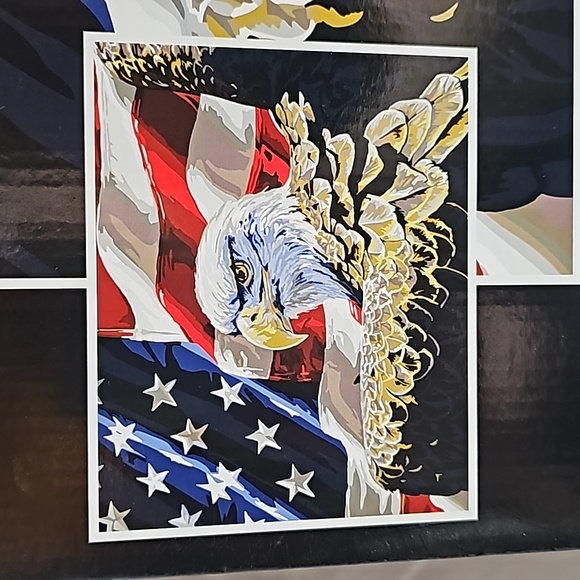 Paint by Number Kit - Patriotic Eagle Design - Picture 2 of 7